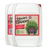 Xpert Nutrients Master Bloom A+B