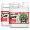 Xpert Nutrients Master Bloom A+B