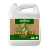 Advanced Nutrients OG Organics Ancient Earth