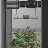 AC Infinity Grow Tent Trellis Netting, Flexible Elastic Cords, 60x120cm