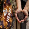 herbis living soil floragard 01