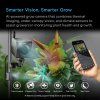Spectron7 GrowCamera IMG2 37747.1773274142