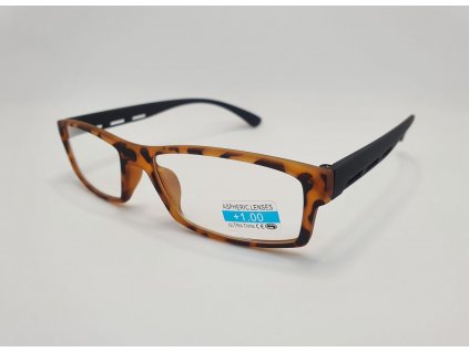 Dioptrické brýle 2R06/ +1,00 BROWN