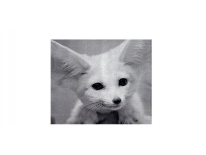 kopie uterka na bryle z mikrovlakna s motivem 209.jpg.big