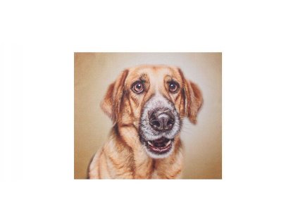 kopie uterka na bryle z mikrovlakna s motivem c.24 2.jpg.big