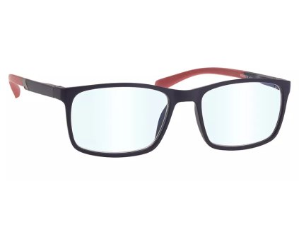 kopie dioptricke bryle pro praci u pocitace 555 a 1.jpg.big