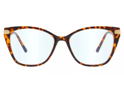 kopie dioptricke bryle pro praci u pocitace 530 a.jpg.big