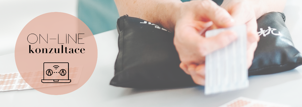Online konzultace
