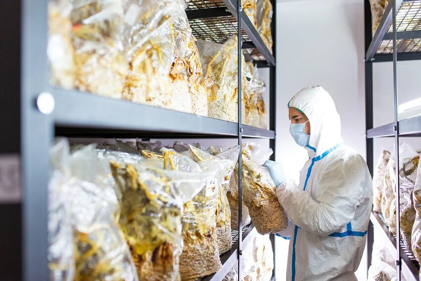 Kontrolovaná výroba vitálních hub v uzavřeném systému – Tyroler Glückspilze, Innsbruck