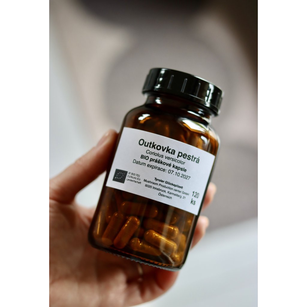 Reishi Ling Zhi Extrakt BIO Ganoderma lucidum BIO Pilzexraktkapseln 60 Stk