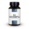 Bio Austernpilz PT01