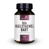 Bio Igelstachel Bart PT01