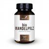 Bio Mandelpilz PT01