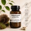 Outkovka pestrá - coriolus versicolor 120 kapslí