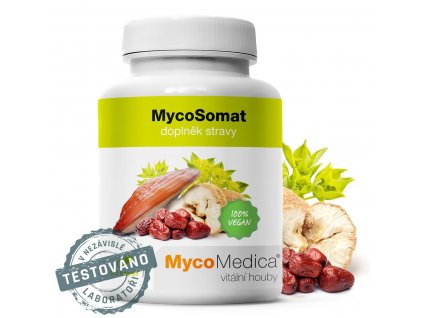MycoSomat - Xiao Yao San- 90x 500 mg