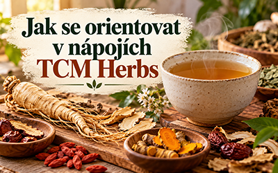 Jak se orientovat v Nápojích TCM Herbs