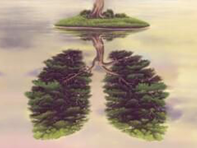 Listopad je měsícem našich plic