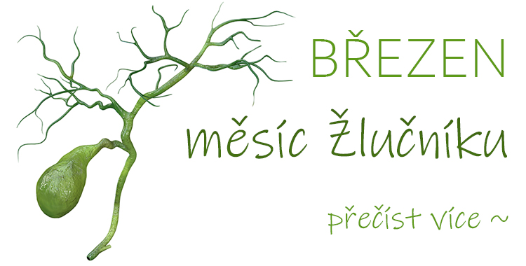 Březen, měsíc žlučníku