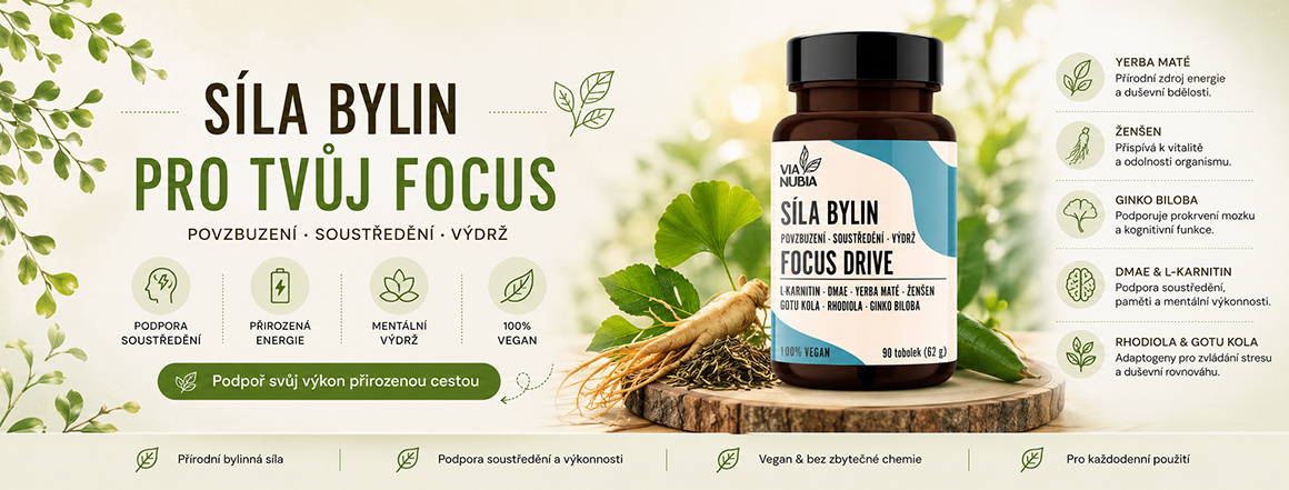 Focus Drive - podpora kognitivních schopností