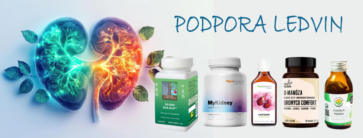 Podpora Ledvin, esence Jing