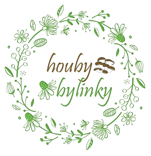 Houby bylinky.cz