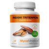 Reishi 10 % Triterpen 90 kapslí