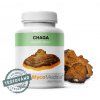 Chaga - rezavec šikmý 90x 500mg