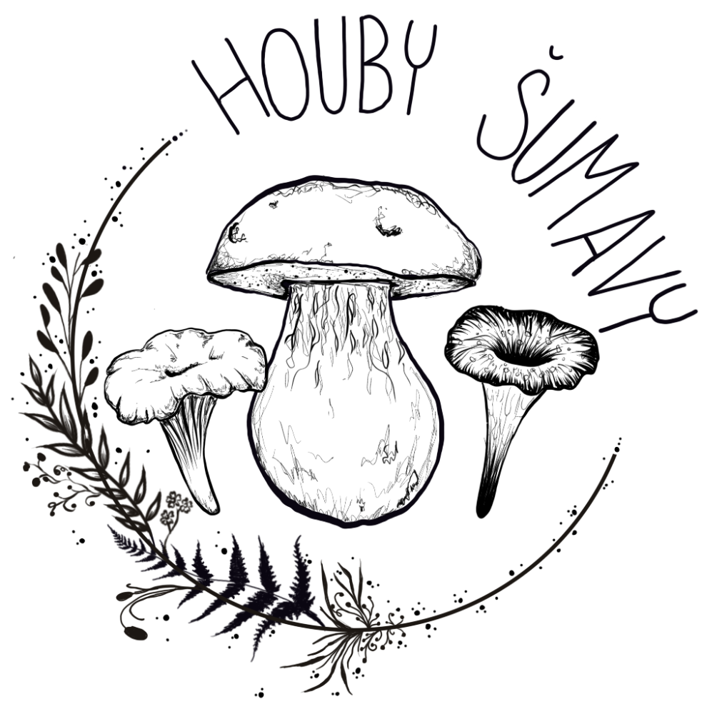 Houby ze Šumavy