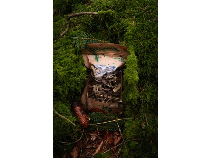 Liška nálevkovitá