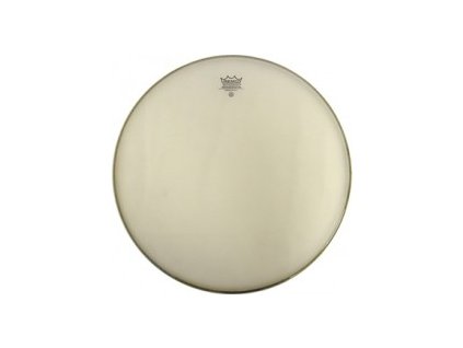 Blána 12" Remo Renaissance Ambassador RA-0012-SS