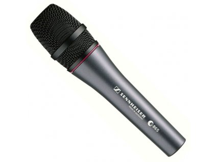 Mikrofon Sennheiser E865