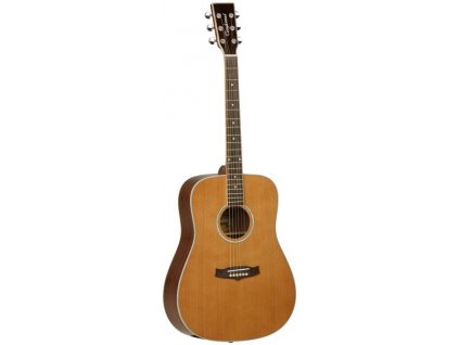 Akustická kytara Tanglewood TW28 CSG