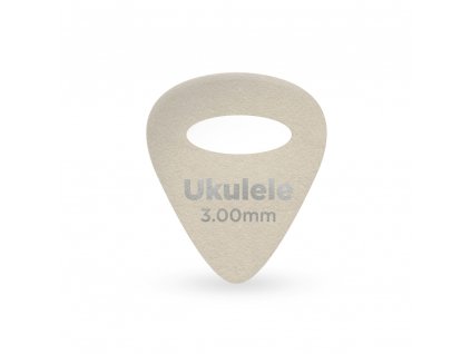 Trsátka D'ADDARIO 1FLT9