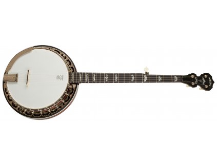 Banjo DEERING Eagle II