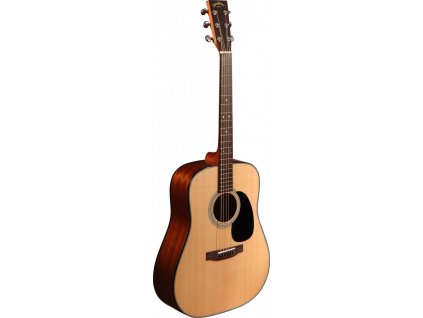 Akustická kytara Sigma Guitars DM-1 ST