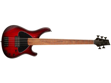 Elektrická baskytara SANDBERG Basic BA2 5 RB PFFB DTA