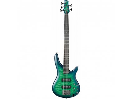 ibanez sr405eqm skg