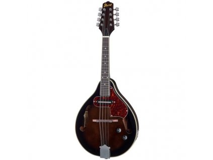 mandolína Ibanez M510E-DVS