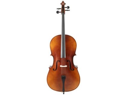 bacio instruments basic cello gc102f 4 4