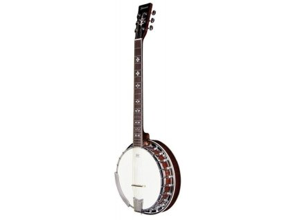 banjo tennessee premium 6 strunne s pouzdrem
