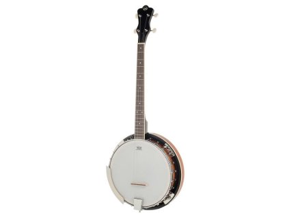 Gewa VGS Banjo Select 4-saitig