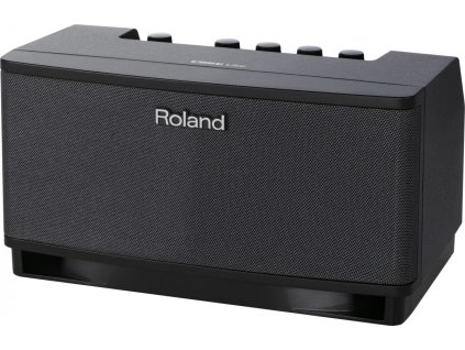 Roland Cube LT - Univerzální kombo