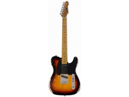 Elektrická kytara ESP LTD TE-254 D3TB