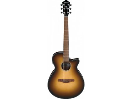 Elektro akustická kytara Ibanez AEG50 DHH