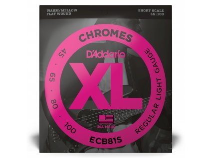 https://asset.productmarketingcloud.com/api/assetstorage/2678_cd2717bc-a6ea-4d24-b862-e4234c45dac4/Original/ECB81S_main_hi-res.jpg