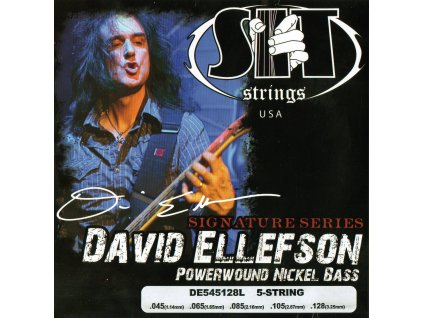 sit strings david ellefson signature 176047