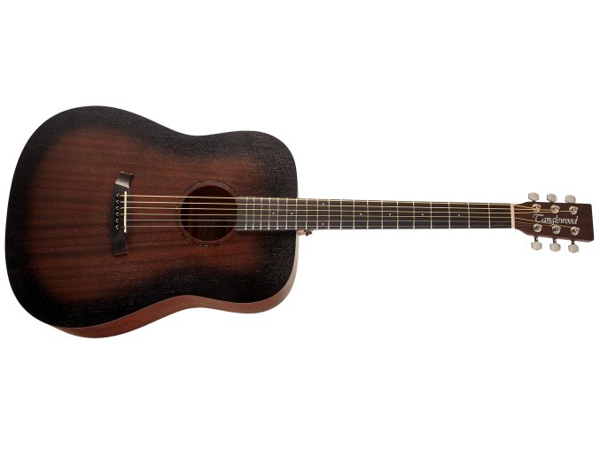 Elektroakustická kytara TANGLEWOOD TWCR D E