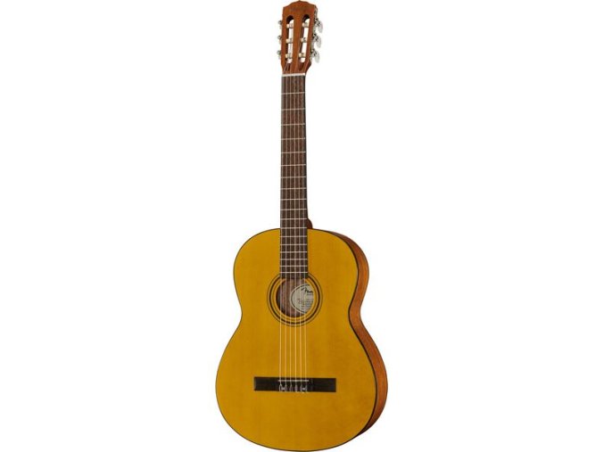 FENDER ESC 110 WN