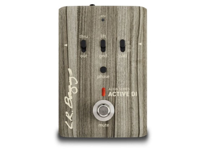 L.R.Baggs snímač Active Soundhole Pickup