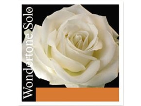 Struny na housle Pirastro Wondertone Solo
